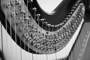 Mared Emlyn's harp image