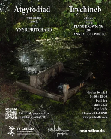 Poster image for Resurrection of Catastrophe showing a piano in a pond.