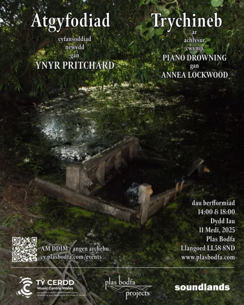 Poster image for Resurrection of Catastrophe showing a piano in a pond.