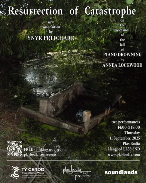 Poster image for Resurrection of Catastrophe showing a pain in a pond.