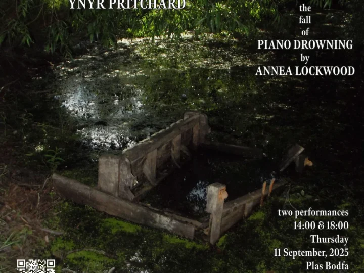 Resurrection of Catastrophe – Piano Drowning
